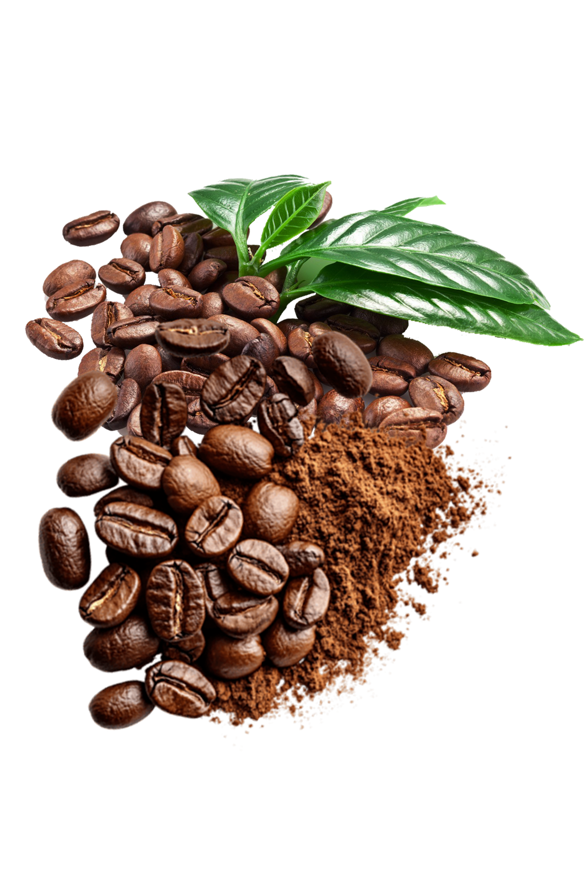 Cresta Coffee